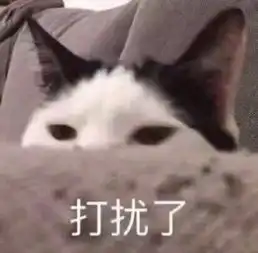  某网红自曝一夜成名的烦恼揭秘贵圈那些不为人知的故事