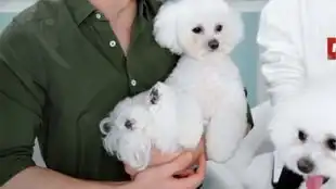  今天的弟弟和never好像不愧是母子