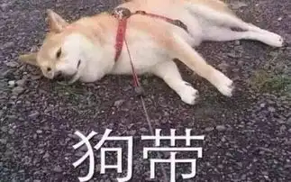  实力撩汉︱都是套路但我撩你的心是真的