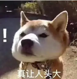  交通肇事你了解吗