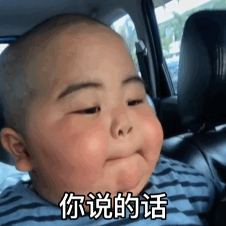  萌娃动态表情包你说的话没一句我爱听的闭嘴吧你