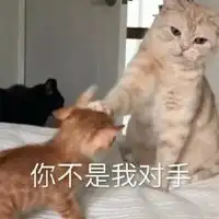  呲你表情包