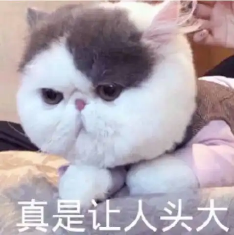  超搞怪的聊天专用表情你为什么还不来哄人家真让人头大