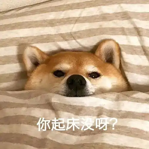 cheese狗子表情包凶猛
