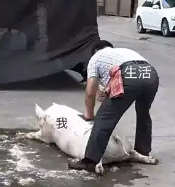  减肥真的是太太太太太太太太难啦