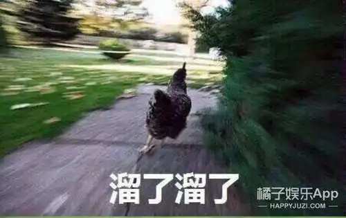  不接仙侠剧飞奔躲狗仔,我真是被陈晓的中二给打败了