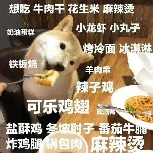  家里的狗挑食不吃狗粮,于是主人想了个办法