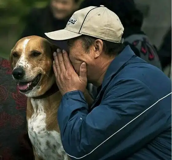  不怕告诉你,养狗之后真的会得病