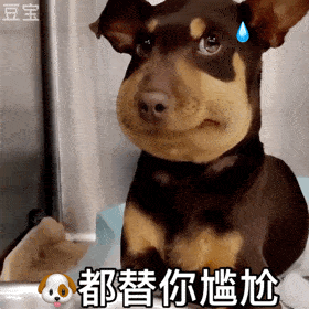  憨憨肿脸狗勾表情包
