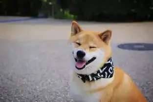 柴犬挨打表情包眼白