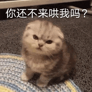  今日份沙雕表情包