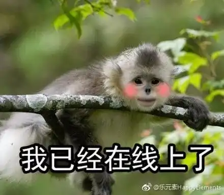  新小编大眼有神嘴唇迷人阿柴和包子都不想上班了