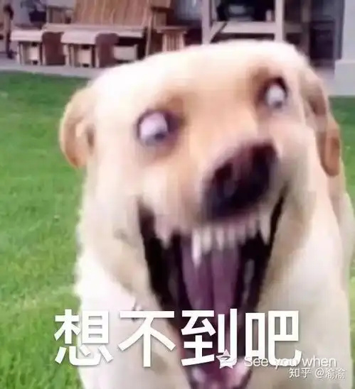 抱在一起的表情包狗子