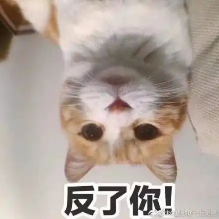  恋爱八年不分你我领完证后老公拿出七张卡