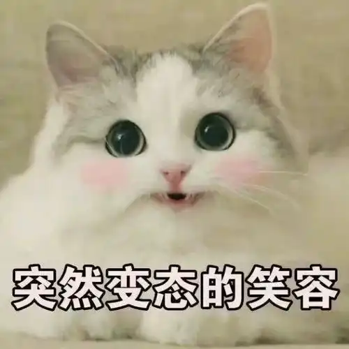  沈月王鹤棣菜寺场夫妇合体,却遭武艺横刀夺爱