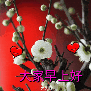  8张不用打字就可以聊天的早安图片2021创意好看的春天早上好问候动画表情图片