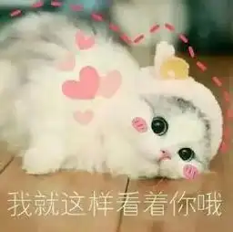  可爱猫咪的表情包我的悲伤大概有这么大