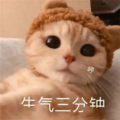  吐槽完网红爆款,我收到了律师函