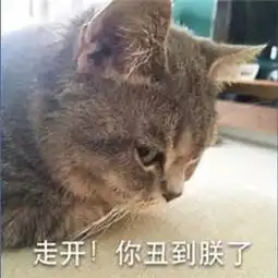  可爱卖萌猫咪表情包走开你丑到朕了