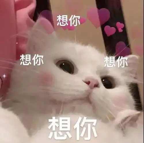  微信沙雕聊天表情包这座城又多了个伤心的人