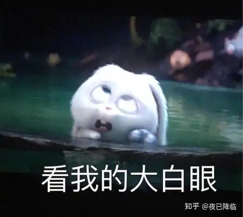  我想问一下高中生有没有必要在课余时间做一些别的事