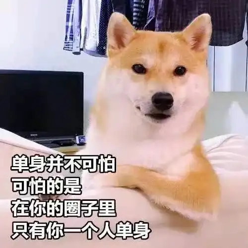  双十一,你准备好了吗