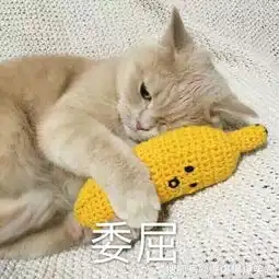  爆笑段子我拒绝了土豪送我的兰博基尼超跑,原因很现实