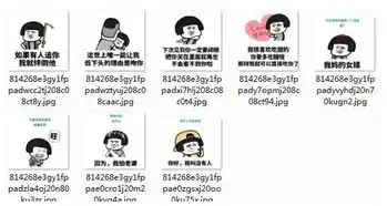  直男癌患者情话套路表情包完整版下载表情包高清无水印版下载52pk软件下载