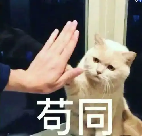  微信不加好友也能聊天666