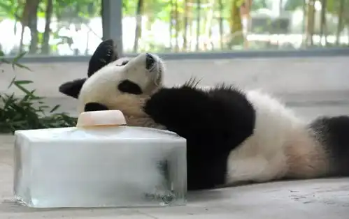 没有多看你一眼,为何对我如此热辣