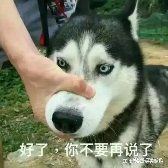  如何评价韩国彩妆博主朴惠敏pony