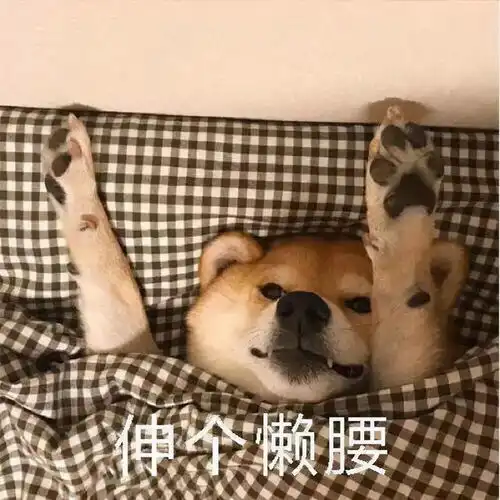  柴犬冬季打工人表情包合集不想起床,不想上班
