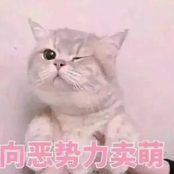  直男专属认错表情包,得罪自家小祖宗的快快收藏吧