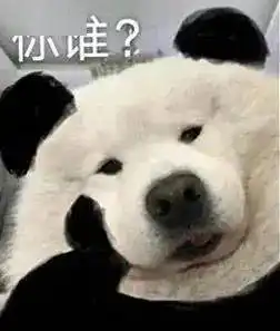  又有新的表情了给我存它