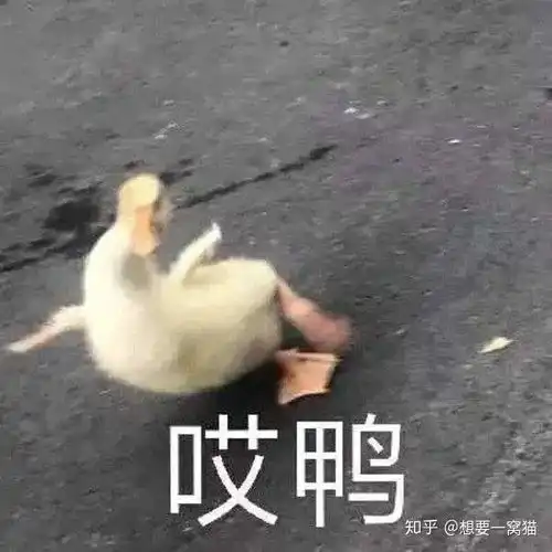  怎么看待石家庄多所初中要求女生统一短发