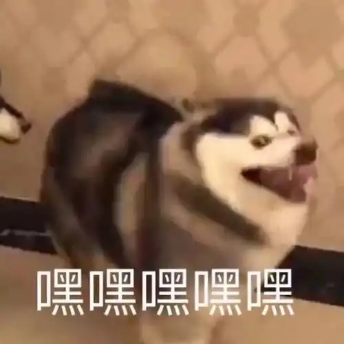  四六级模拟考听说报了这场模拟考的人,四六级都过了