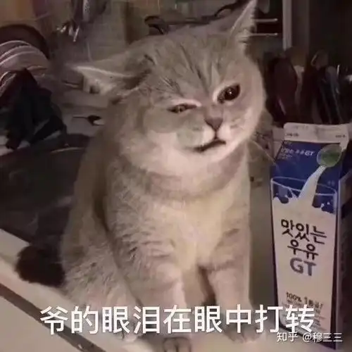  蓝猫几个月脸才开始圆