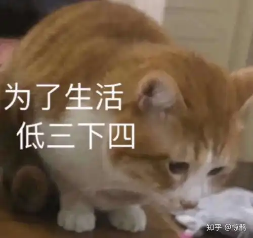 闪耀暖暖有什么好看的搭配