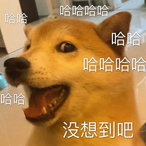  沙雕聊天表情包i贫穷使我不能入睡