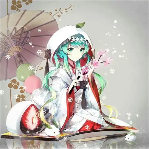  二次元美图23