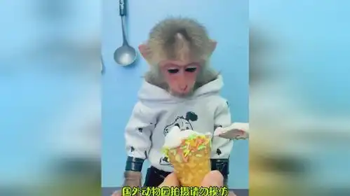  猴哥看到冰淇淋高兴坏了猴子动物