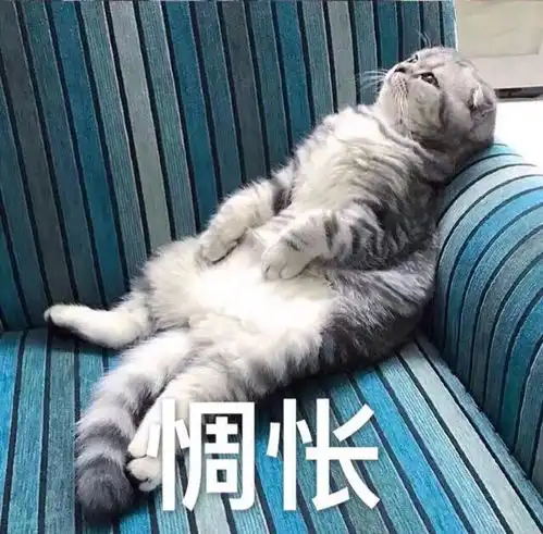 猫咪吓出双下巴表情包沙