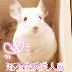  斗图小表情3.20