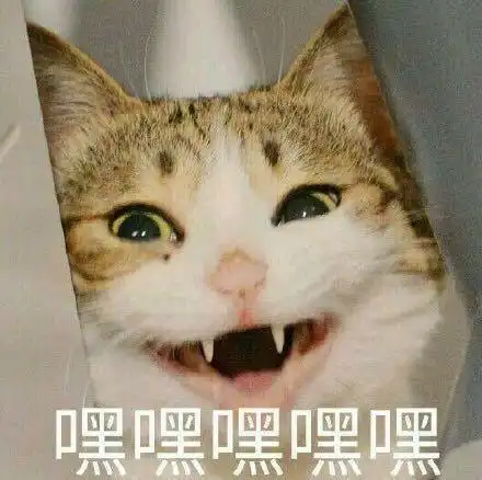  风起云涌的时代暴风青少年登场