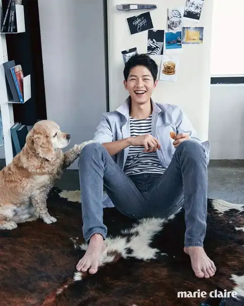 抱在一起的表情包同步