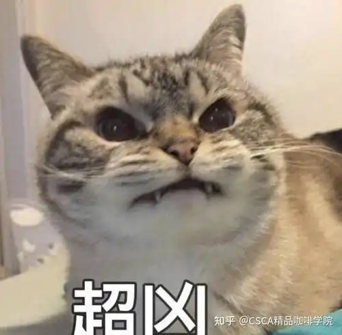  这个离埃塞最近的国家,直到19世纪才种起咖啡