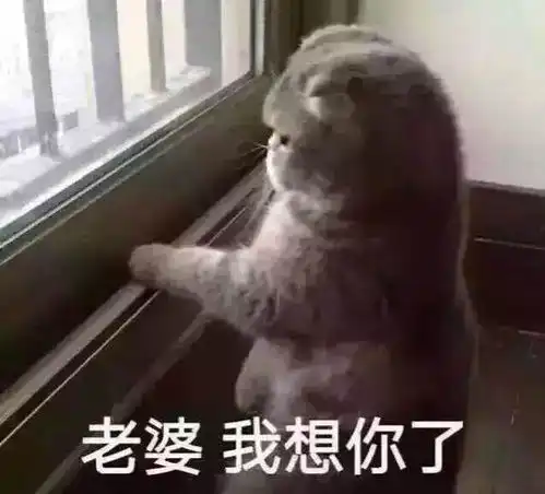 老婆表情包图片可爱老婆