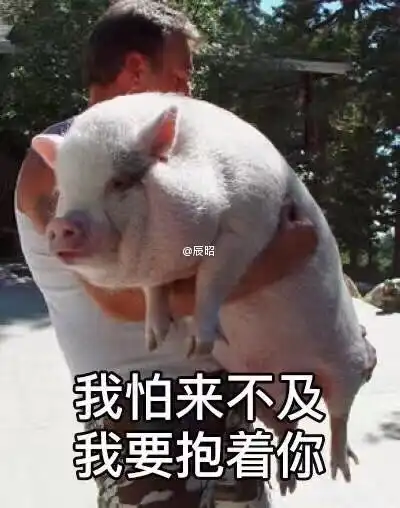  我的收藏