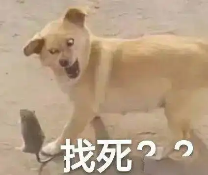  合集汪星人表情包