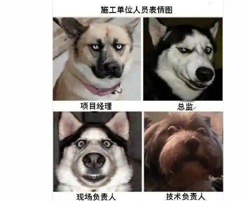 熊猫狗图片表情包憨厚